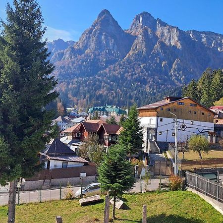 Vila Panoramic Buşteni エクステリア 写真