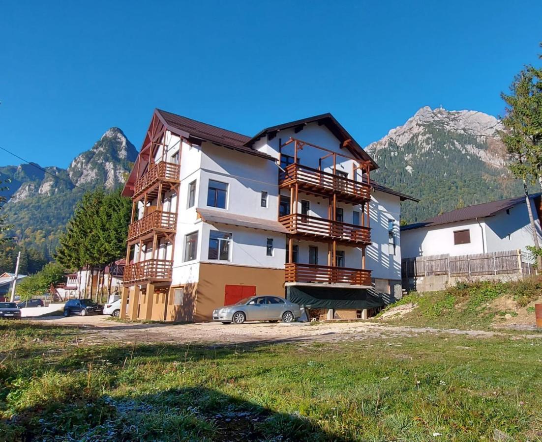 Vila Panoramic Buşteni エクステリア 写真