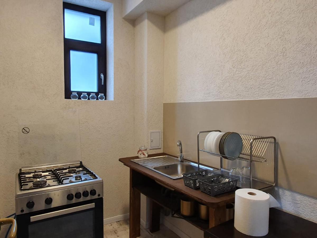 Vila Panoramic Buşteni エクステリア 写真