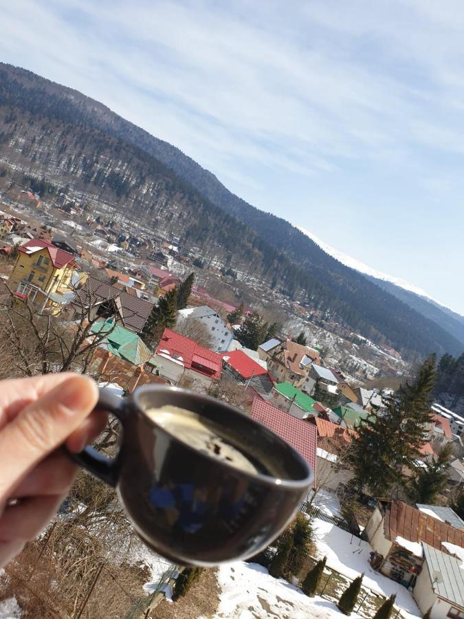 Vila Panoramic Buşteni エクステリア 写真