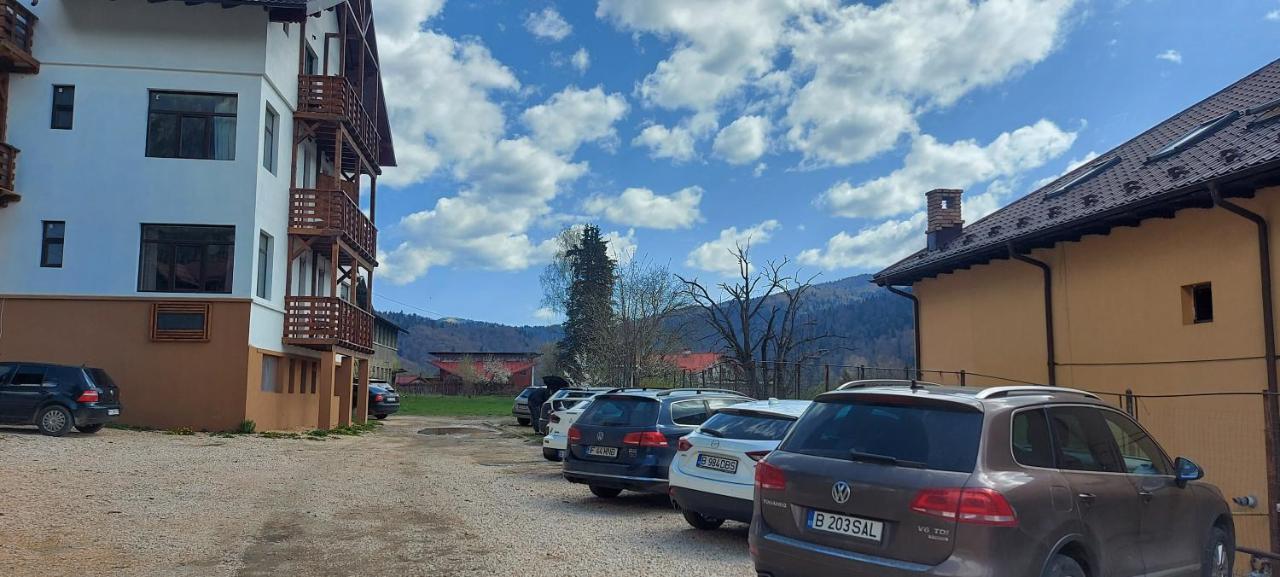 Vila Panoramic Buşteni エクステリア 写真