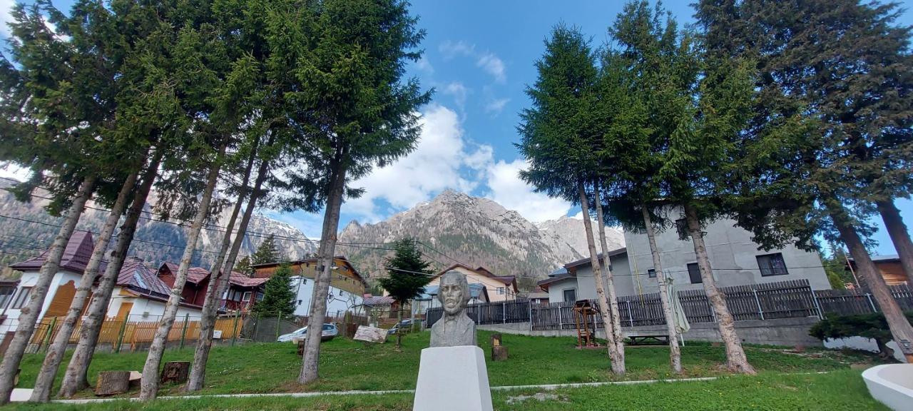 Vila Panoramic Buşteni エクステリア 写真