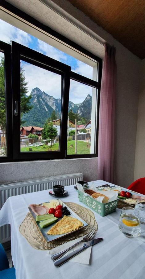 Vila Panoramic Buşteni エクステリア 写真