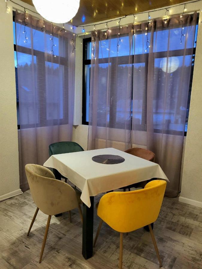 Vila Panoramic Buşteni エクステリア 写真