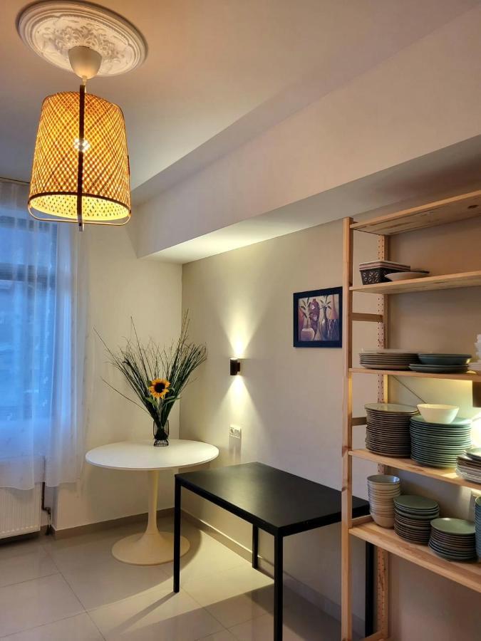 Vila Panoramic Buşteni エクステリア 写真