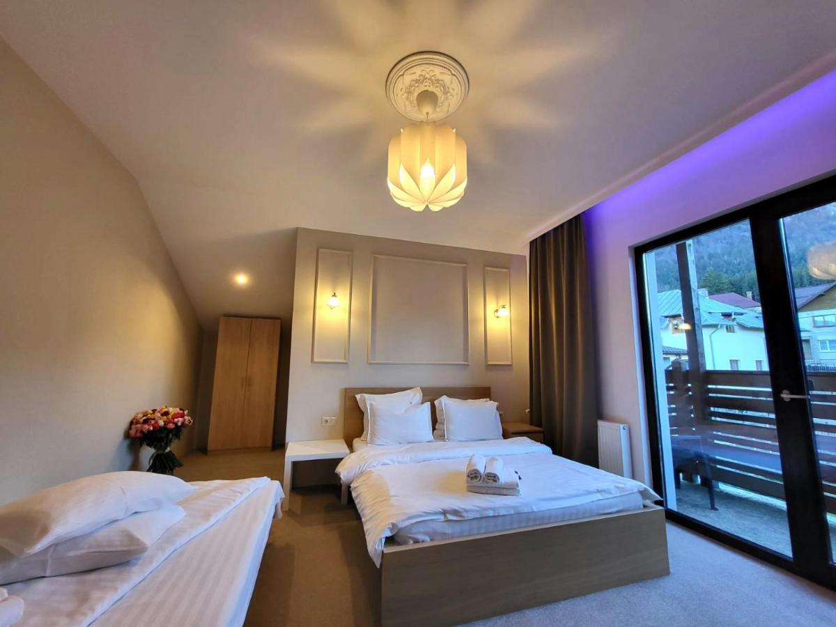 Vila Panoramic Buşteni エクステリア 写真
