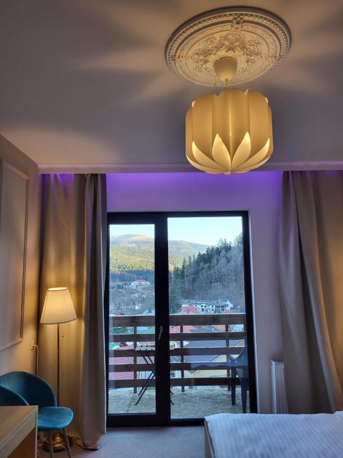 Vila Panoramic Buşteni エクステリア 写真