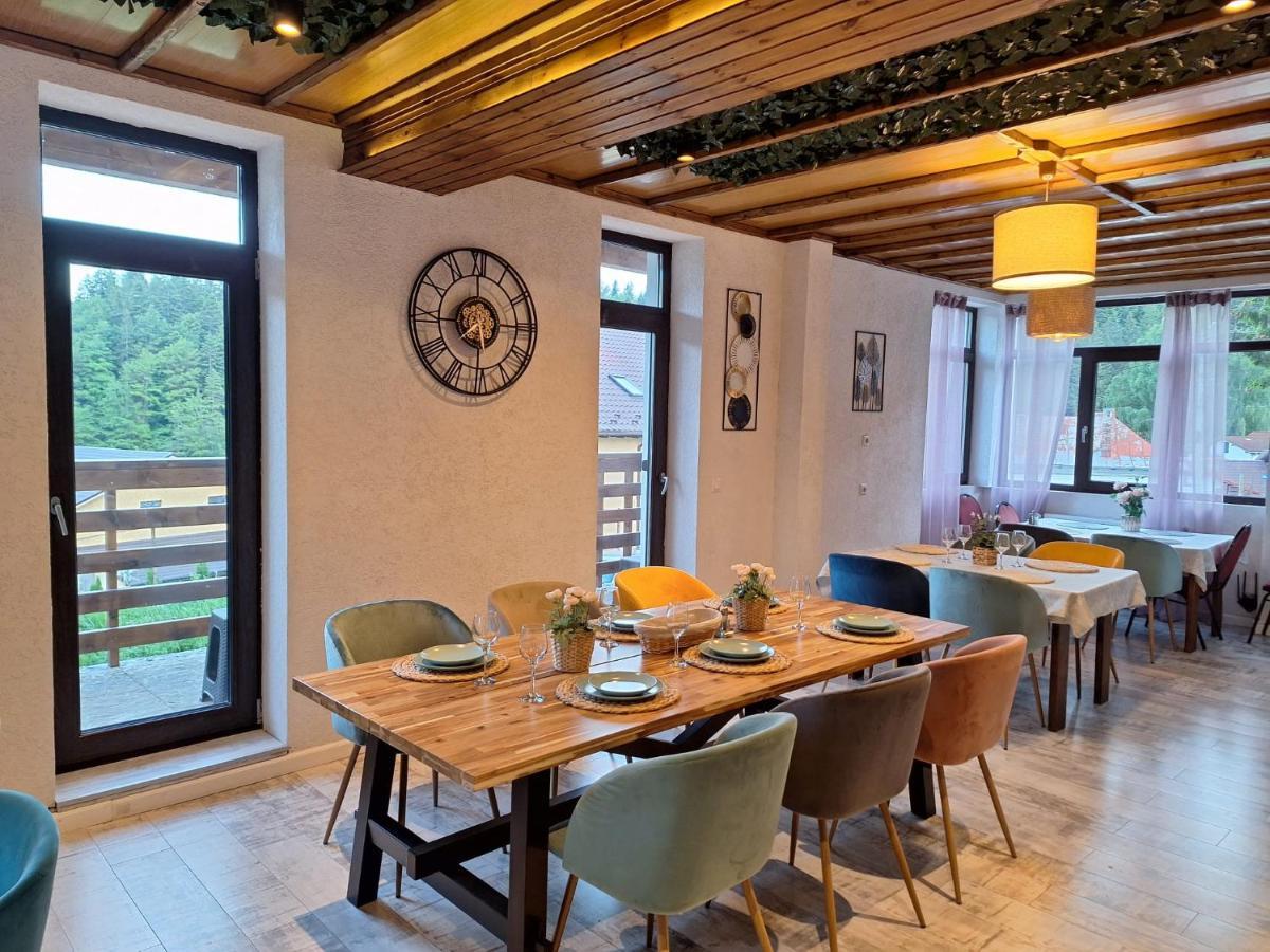 Vila Panoramic Buşteni エクステリア 写真