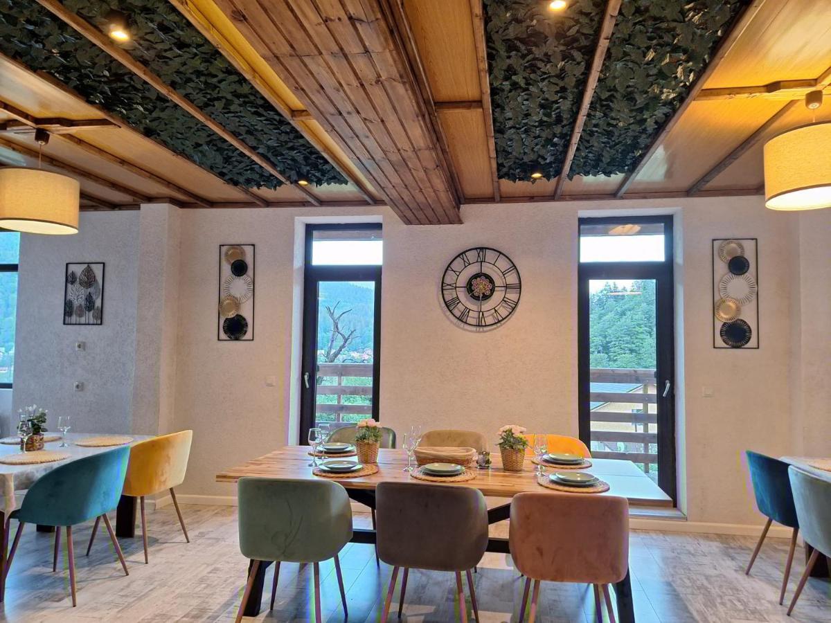 Vila Panoramic Buşteni エクステリア 写真