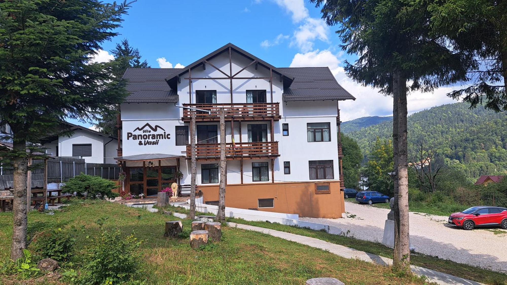 Vila Panoramic Buşteni エクステリア 写真