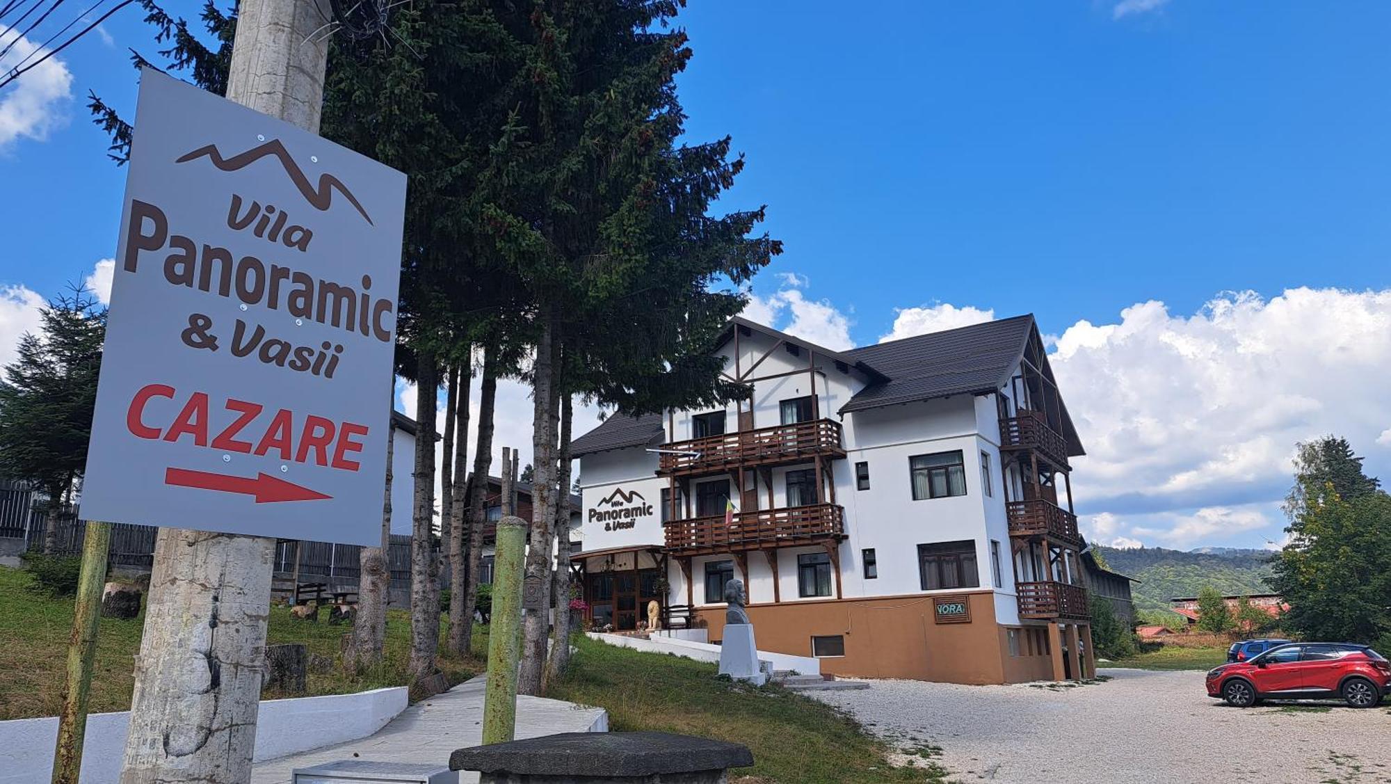 Vila Panoramic Buşteni エクステリア 写真