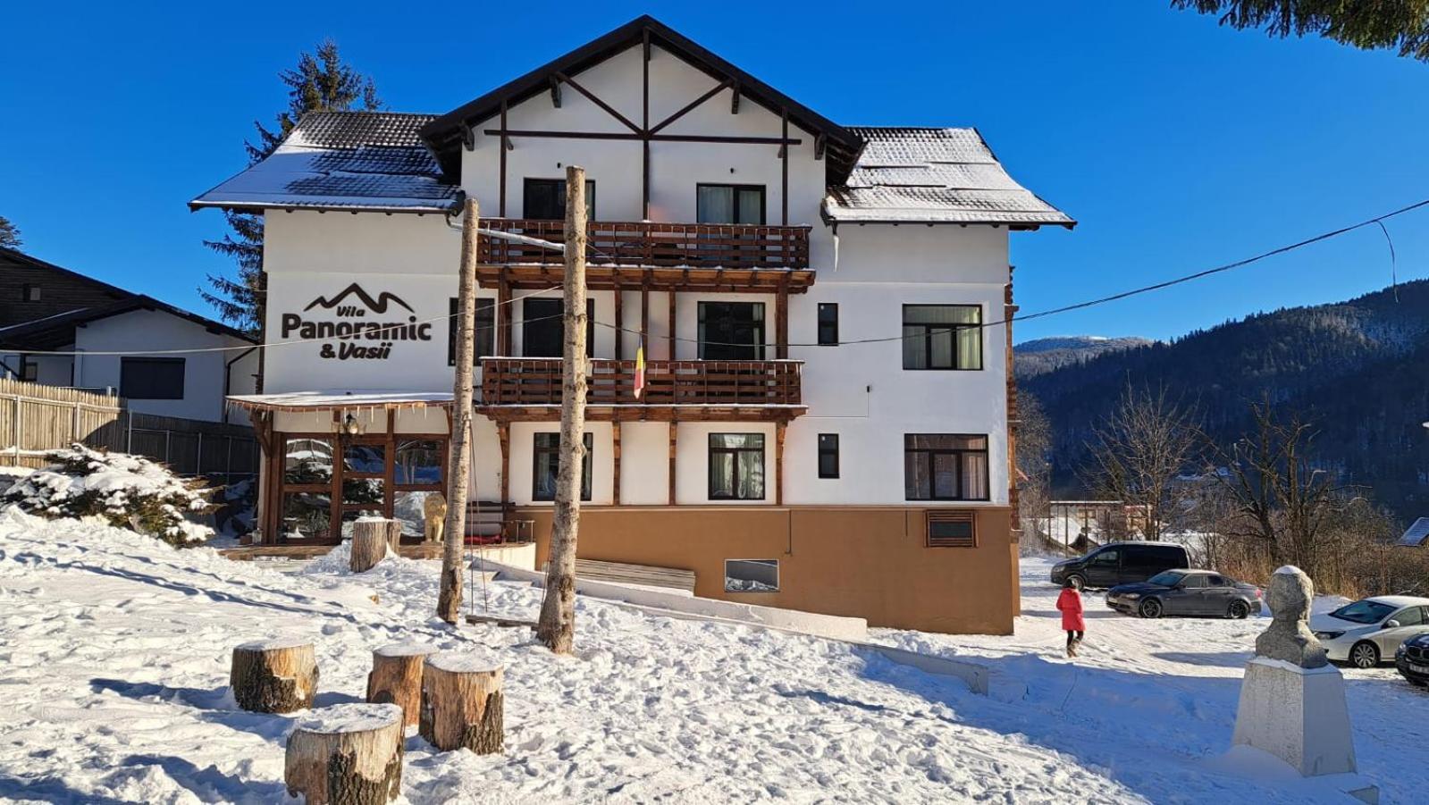 Vila Panoramic Buşteni エクステリア 写真