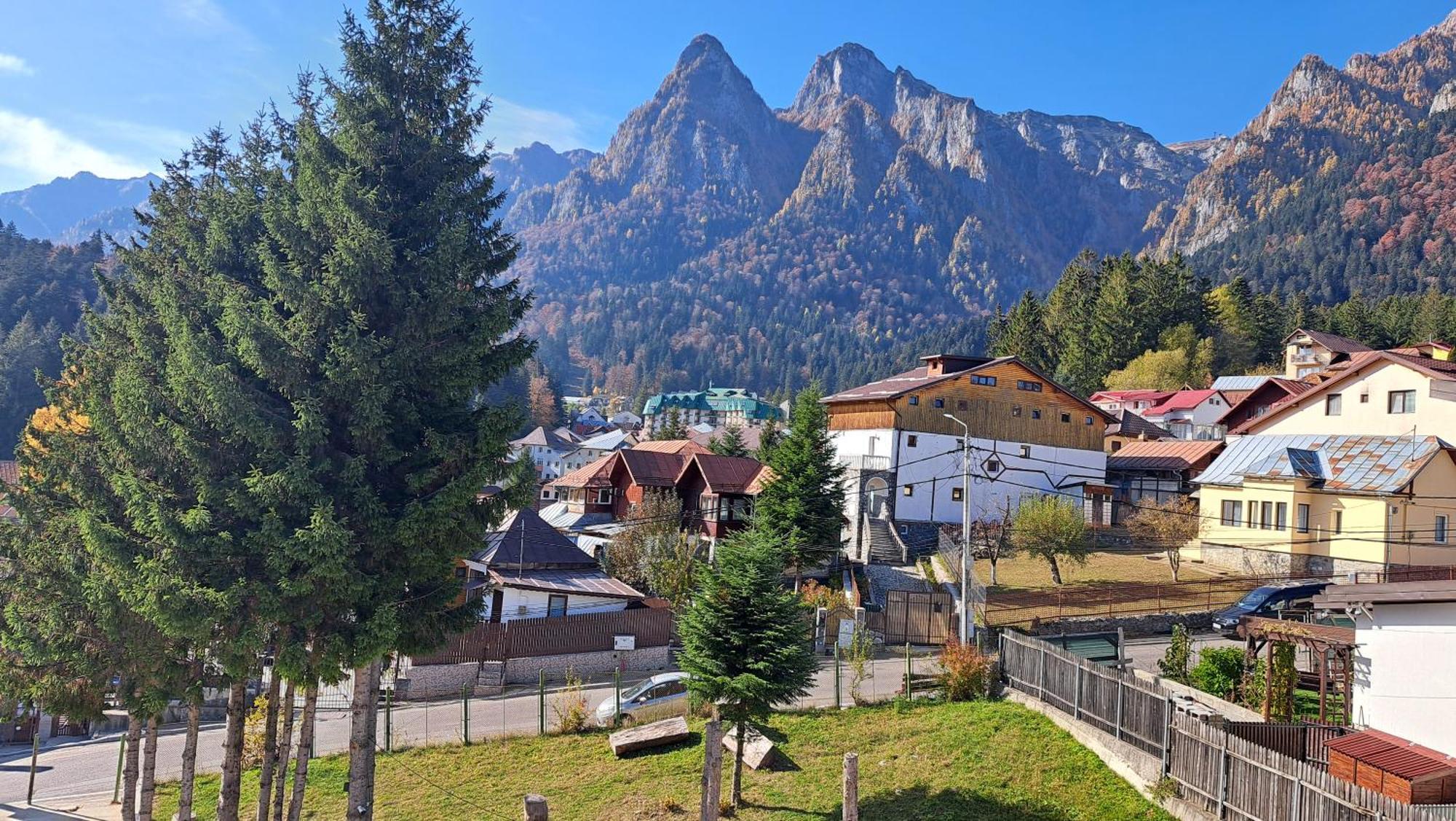 Vila Panoramic Buşteni エクステリア 写真