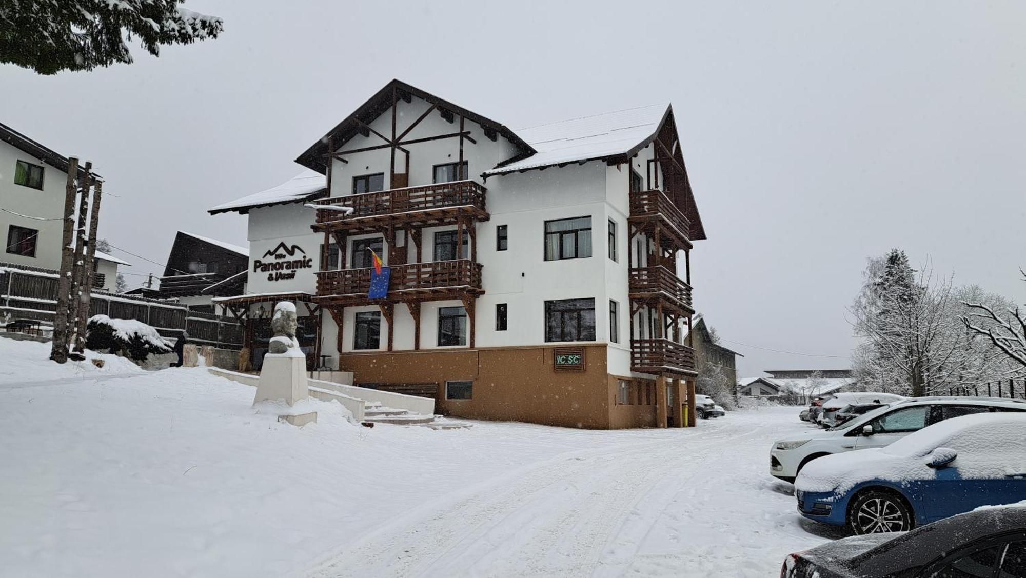 Vila Panoramic Buşteni エクステリア 写真