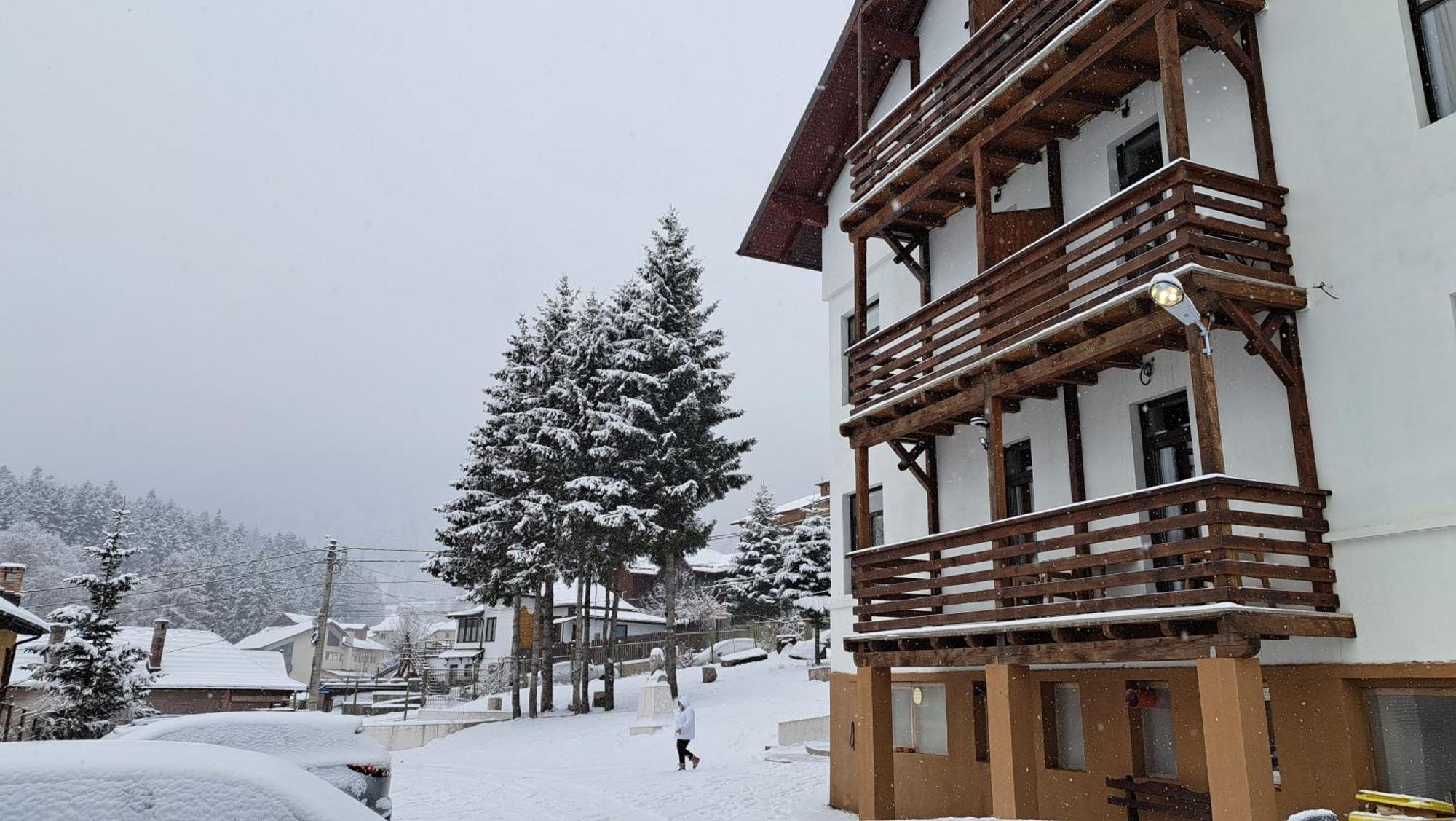 Vila Panoramic Buşteni エクステリア 写真